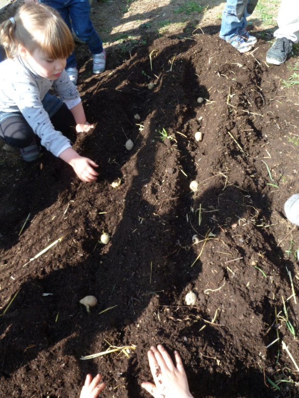 Dans les écoles aussi, on met les mains dans la terre.
