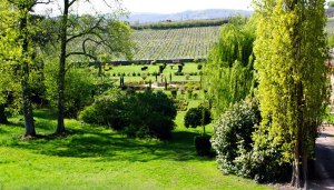Les Jardins de la Bouthière à Chenôves dans la Saône-et-Loire seront ouverts pendant plusieurs week-ends pour apprécier les pivoines, les roses anciennes, les asters,… 