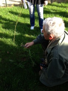 Jean-Paul Ribes apprécie la qualité de la terre