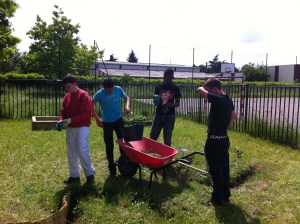 Les collégiens en action