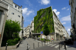 Le mur végétalisé dans le quartier du Sentier (2e)