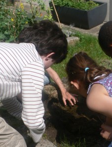 Mais quelle est cette petite bête?