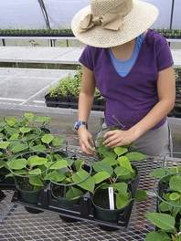 Une résidente de CooperRiis (photo de Beth Beasley, Times-News Correspondent)