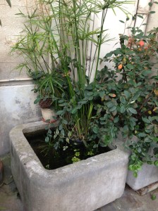 Le bruit de l'eau qui coule, si plaisant, si apaisant...