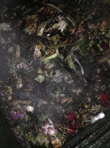 Matière première (déchets de table sauf protéines, fleurs et plantes) : la décomposition en action 