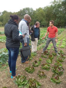 Jean-Christophe Houot (tee-shirt rouge) dans le Jardin de Cocagne Saint-Loup près de Troyes.