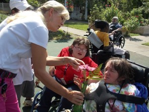Observation d'une araignée qui fait de l'ascension sur une fleur.