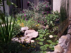 Kirk Hines courtyard