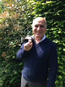 IB Dominique Marboeuf 5