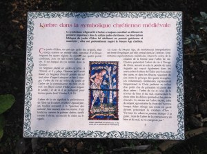 2014-09 atelier jardin-patients de l'h. Maurice Rivière (7)