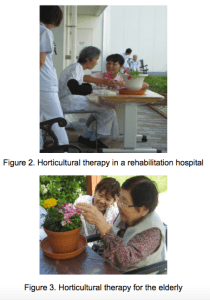 Illustrations tirés du texte en ligne de Masahiro Toyoda