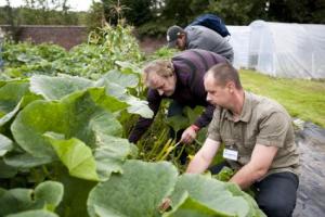 Alain Flandroit, le concepteur du Grand Jardin au CHP de Mons-Borinage en Belgique (au premier plan). Photo © Avpress.