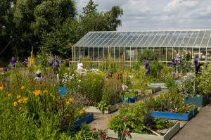 Une vue du jardin de Trunkwell 