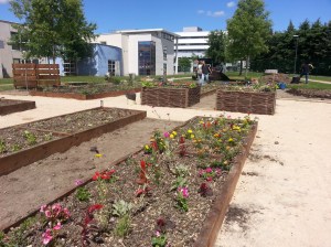 Couleurs stimulantes