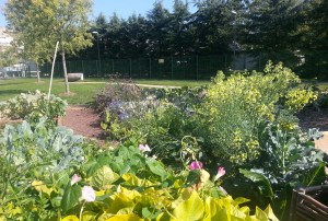 Des massifs aux couleurs apaisantes.