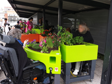 Une jardinière Verdurable à la MAS Saint Jean de Malte à Paris