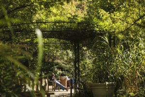 Un des cinq jardins au Legacy Emanuel Medical Center à Portland (Oregon).