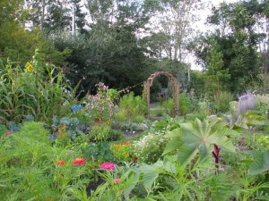 Le jardin collectif de Saint-Jérôme