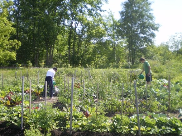 Deux jardiniers à Saint-Jérôme