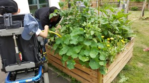 Le jardin au Foyer d'Accueil Médicalisé d'Herblay