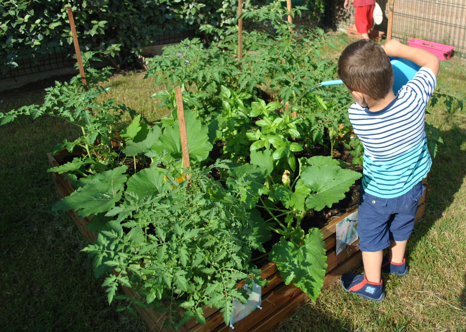 carole-nahon-creche-7