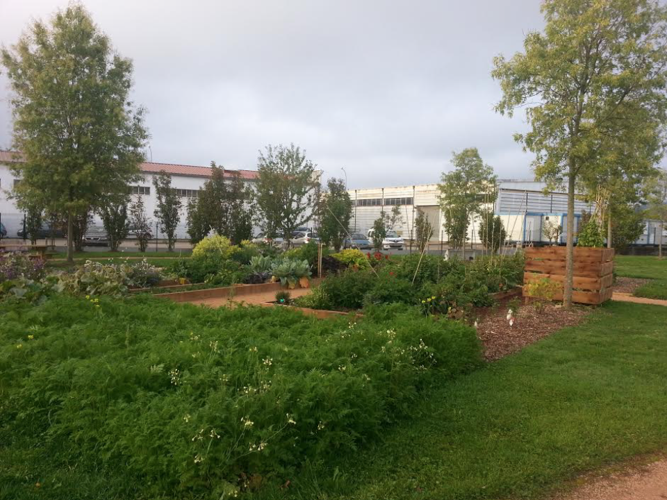 le-jardin-des-melisses-au-chu-de-saint-etienne