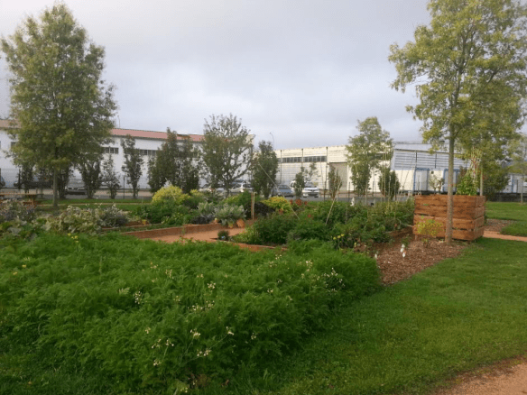 le-jardin-des-melisses-au-chu-de-saint-etienne