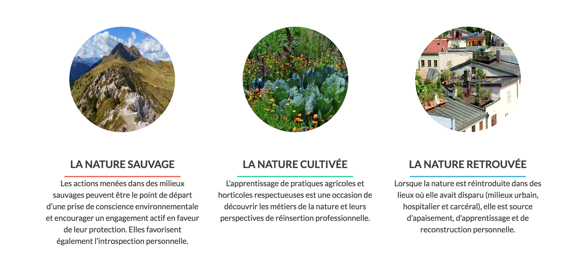 Capture d_écran 2018-01-28 à 13.46.14