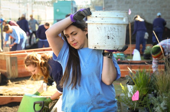 Garden Installation at Folsom Women_s Prison credit CDCR (California Department of Corrections and Rehabilitation)