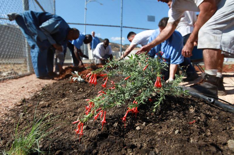 Men Planting at Solano