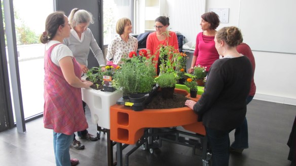 ANFE.FORM.JUIN.15.STAG