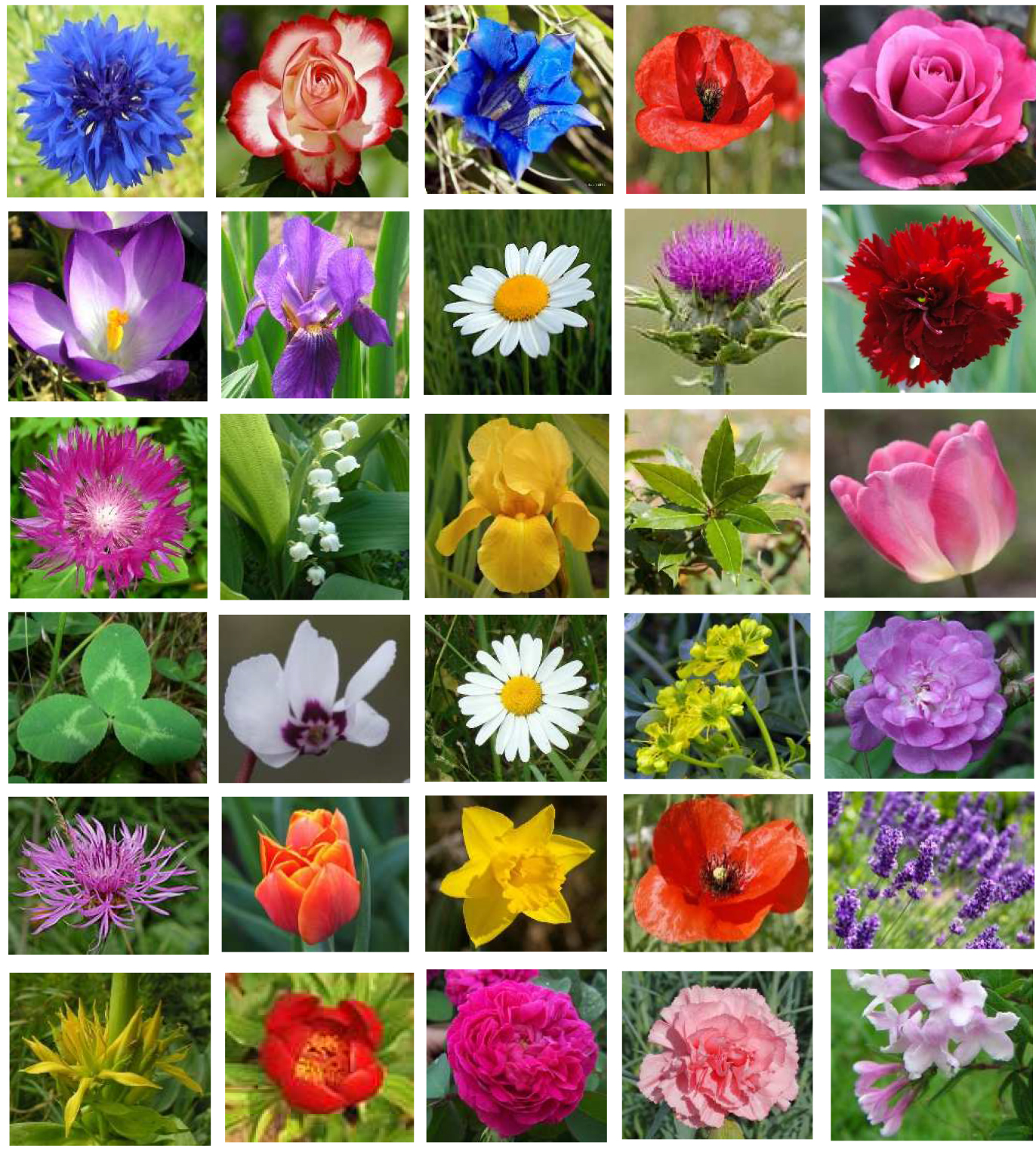 mosaique plantes Paradeisos