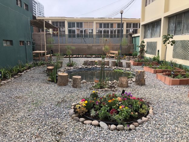 garden after-624x468