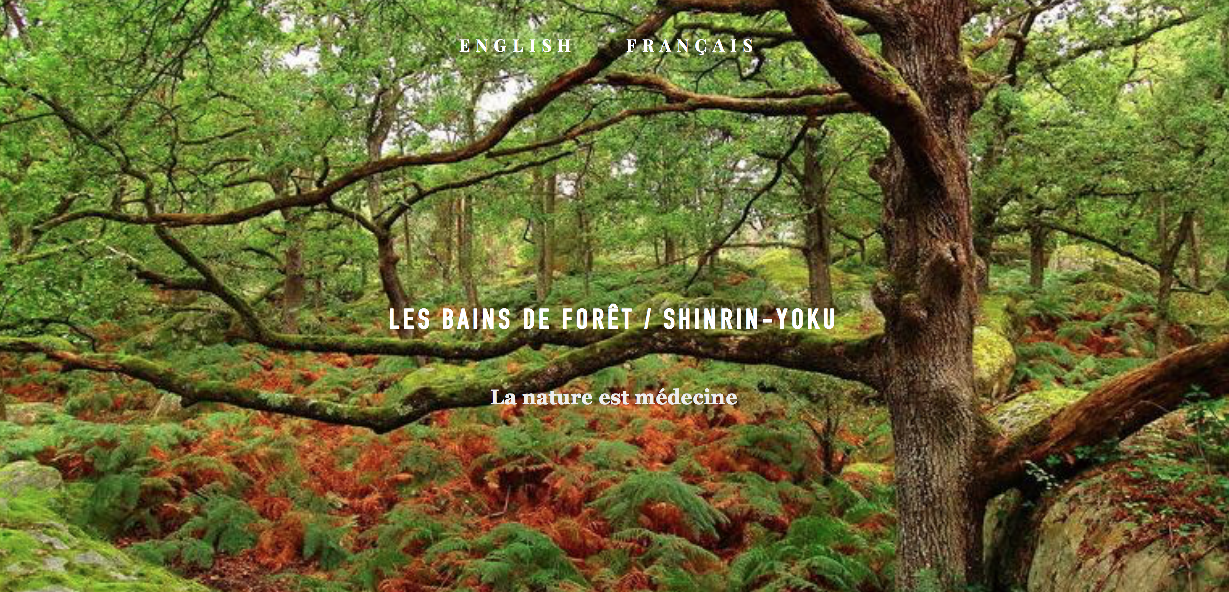 Capture d’écran 2019-10-13 à 18.37.31