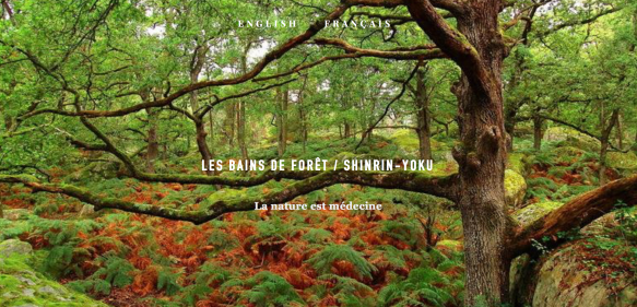 Capture d’écran 2019-10-13 à 18.37.31