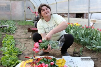 Cette image a un attribut alt vide&nbsp;; le nom du fichier est cvijetna_dolina40.jpg